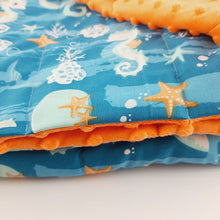 Load image into Gallery viewer, SEA LIFE MINKY WEIGHTED BLANKET SENSORY OWL